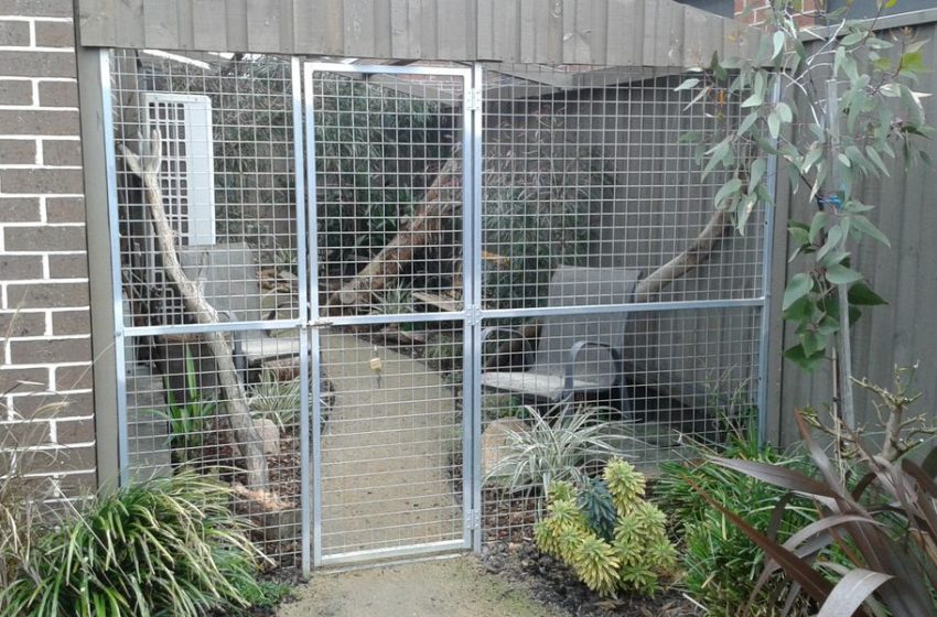 The Ultimate Guide to Cattery in Sunshine Coast